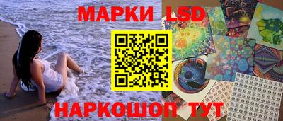 jwh Бийск