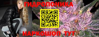 гидропоника Берёзовский