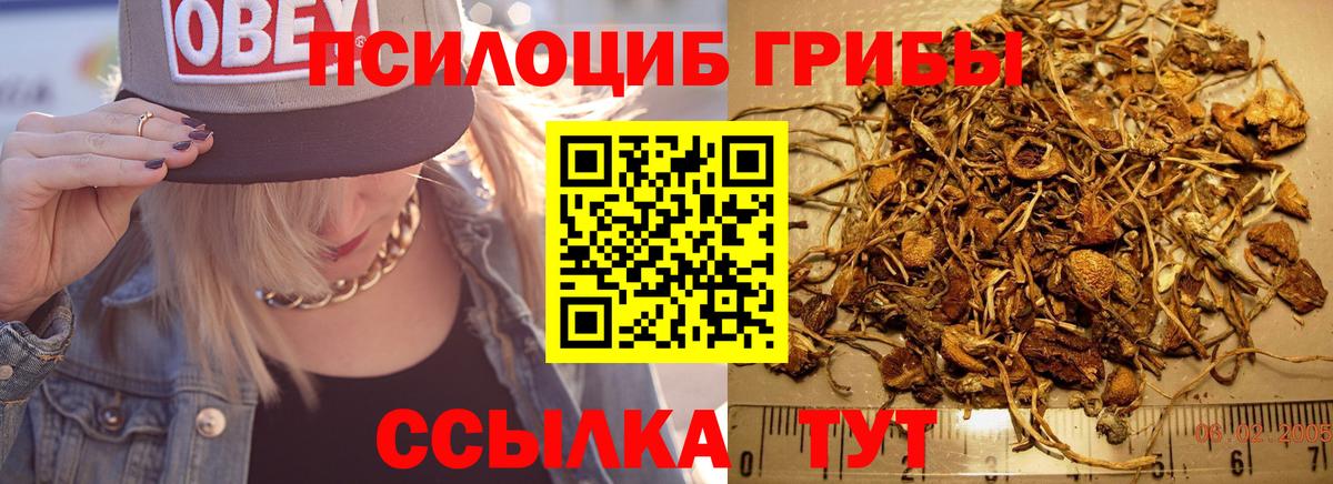 Лсд 25  Вход с VPN  Каннабис  Гагарин  Каннабис  Меф   Меф МЯУ МЯУ  Гашиш  Гашиш 