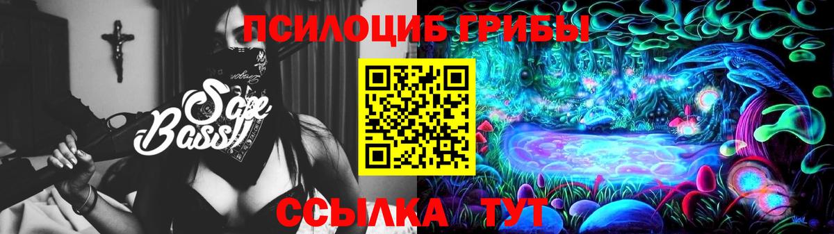 Гагарин  Псилоцибиновые грибы MAGIC MUSHROOMS  Вход с VPN 