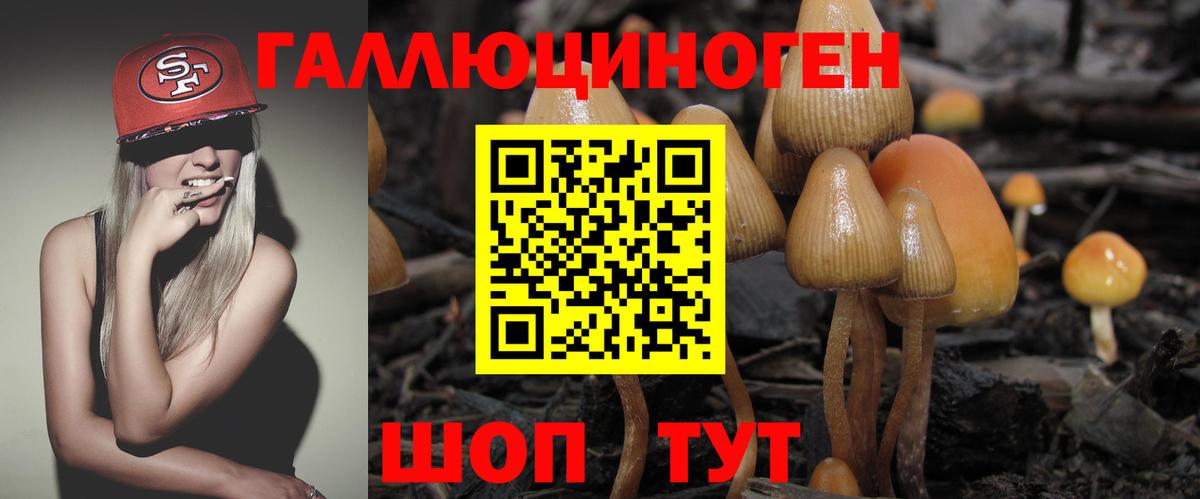 Псилоцибиновые грибы Cubensis Гагарин