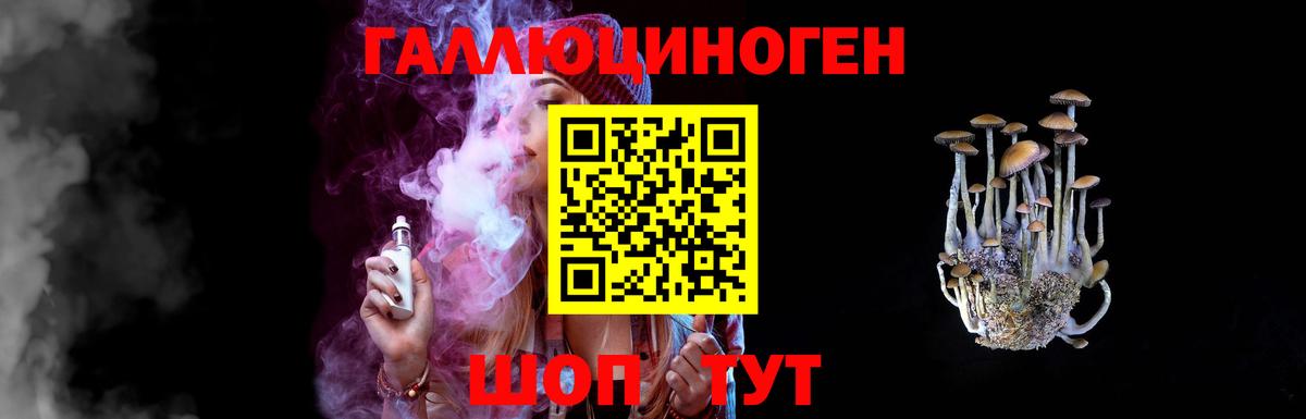 Галлюциногенные грибы GOLDEN TEACHER  Галлюциногенные грибы Cubensis  цены   Гагарин 