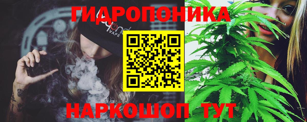 МАРИХУАНА конопля  Шишки марихуана конопля  Каннабис Ganja  Гагарин  Шишки марихуана LSD WEED 
